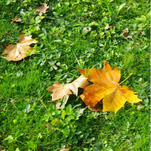 蹭蹭好爽⋯好紧⋯宝贝别夹bl
