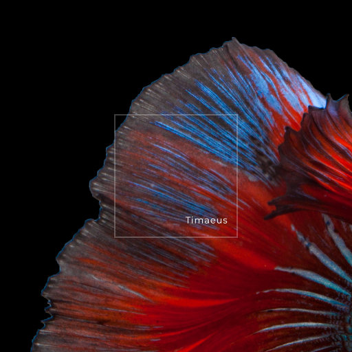 蹭蹭好爽⋯好紧⋯宝贝别夹bl
